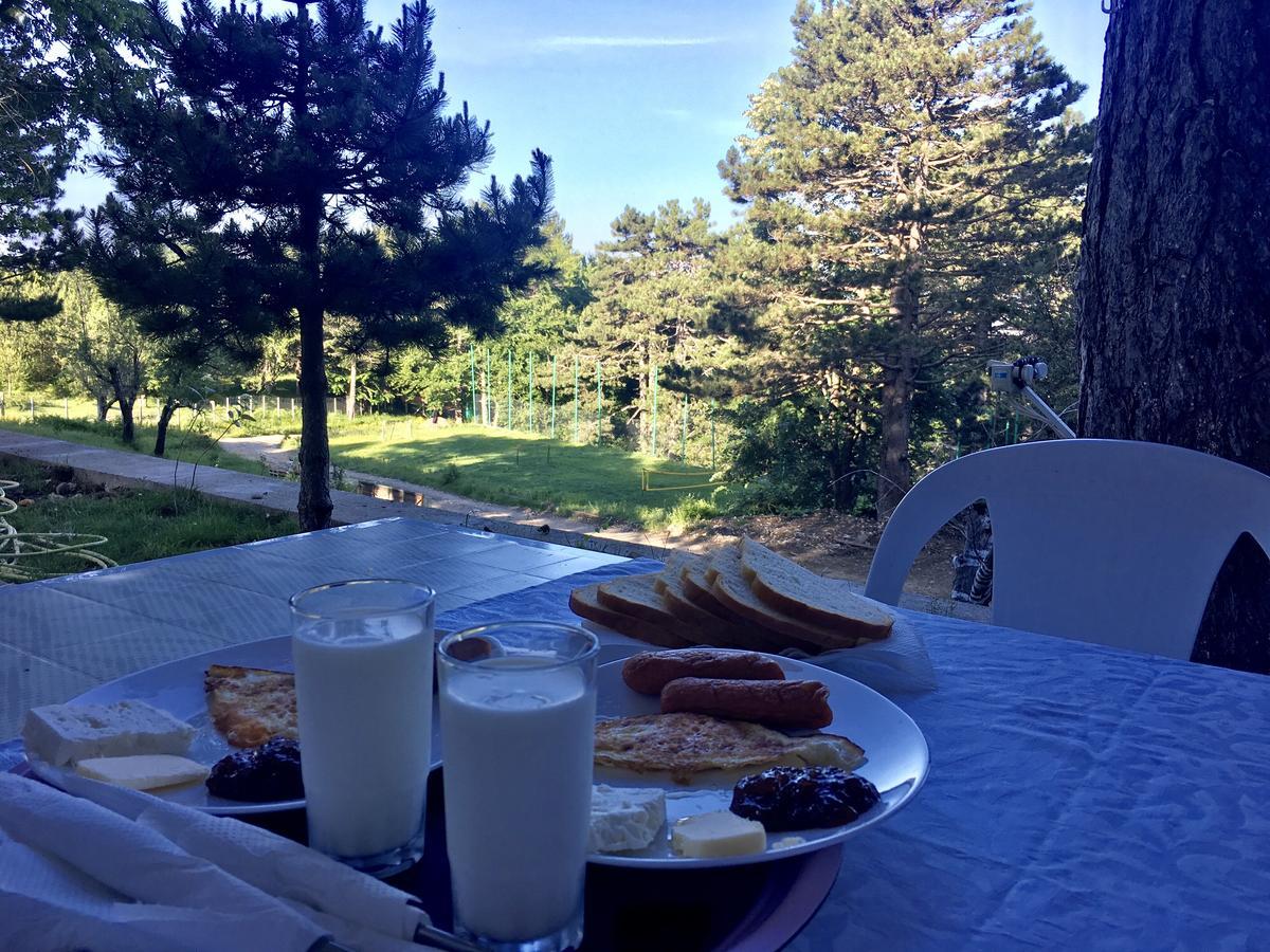 Shkreli Resort Qafeshtame Cudhi-Kamt Extérieur photo